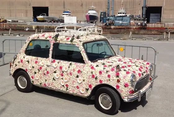 これ花カ〜？