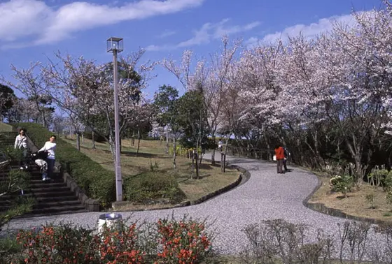 お花見スポット