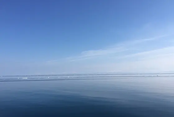 沖はこんな感じ