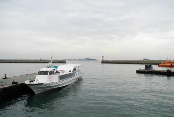 日間賀島は見えています