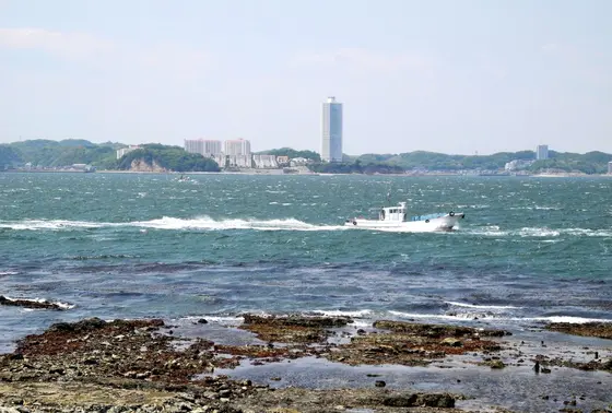 向こう岸は知多半島