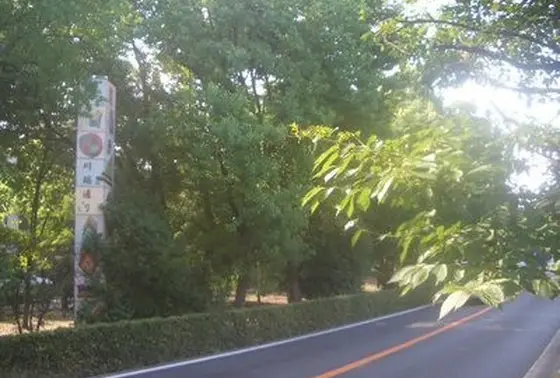 川端通り