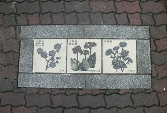 目で楽しむ。