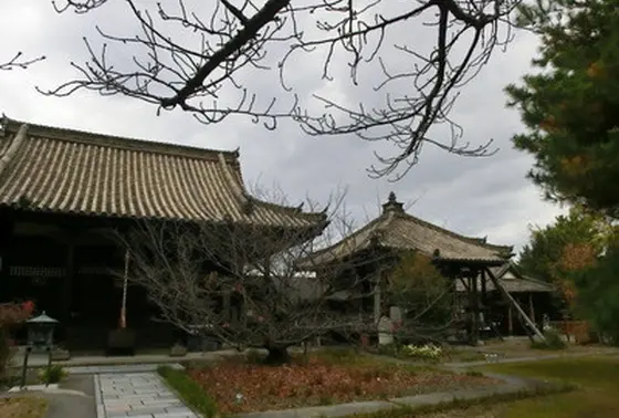 境内の雰囲気