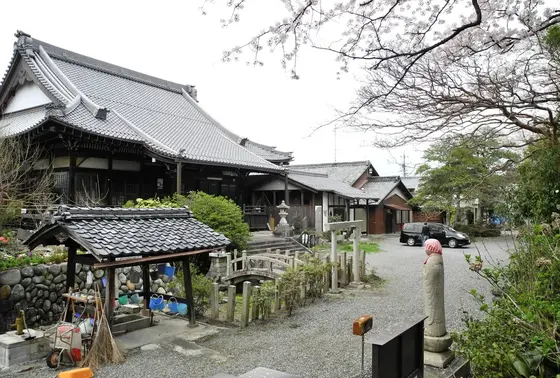 明台寺の境内は桜吹雪