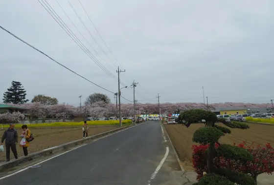 近づいてくる幸せの色！