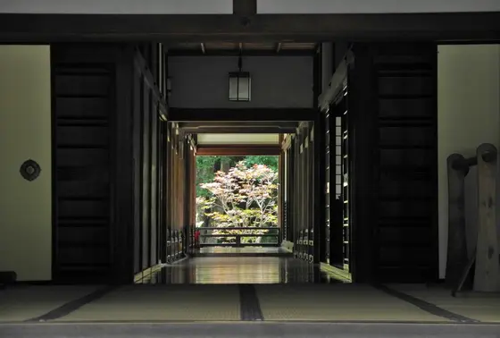 格式ありそうな本坊