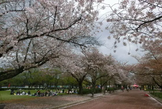 緑地広場