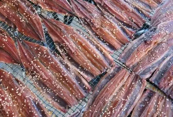 新鮮なお魚がいっぱい