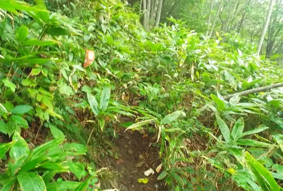 続・ピラミッドへの道