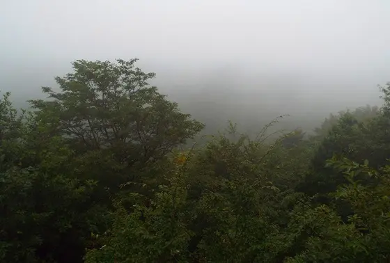 ピラミッドからの眺め