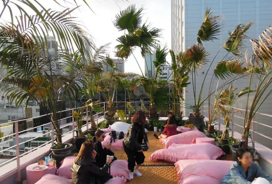 スポット内のおすすめ