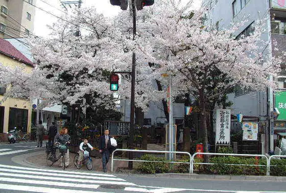 絶対見つけられる！！