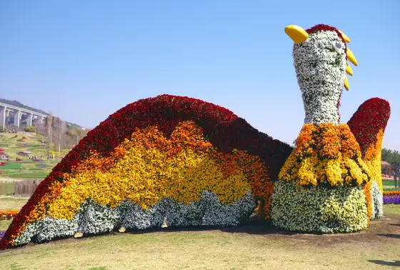 花火鳥