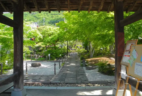 庭が綺麗