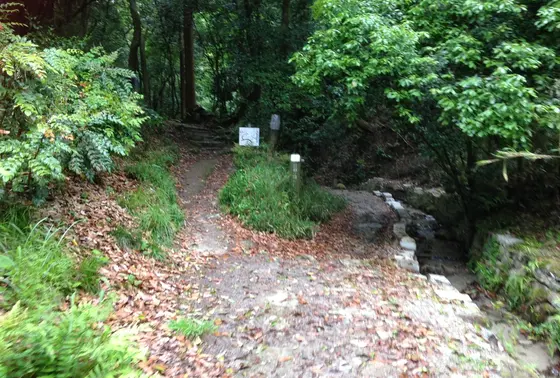 山道