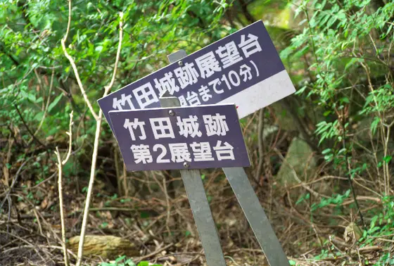 展望台は３つ