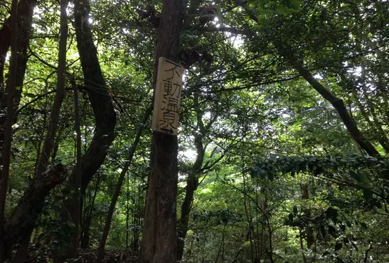 不動温泉の案内札が