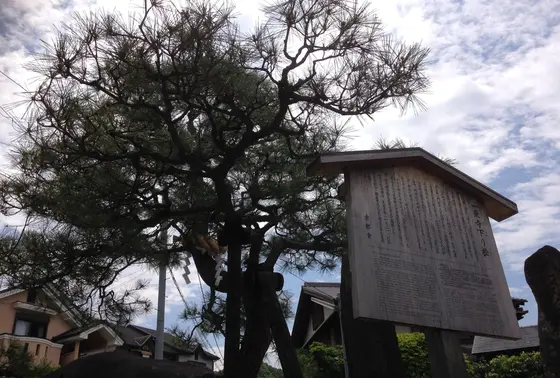 一乗寺下り松