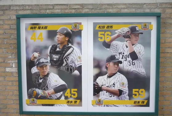 敷地内に掲示されている選手写真