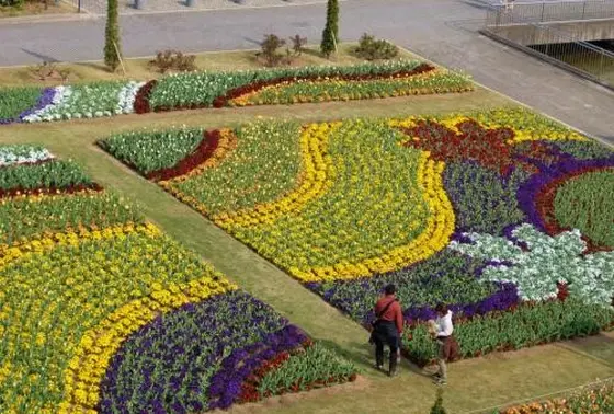 花いっぱいの広大なパーク