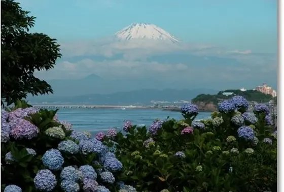 小高い山を登ってみてください。