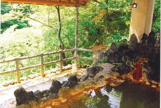 源泉かけ流しの湯