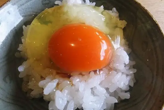 卵がけよう特別な飼育の卵