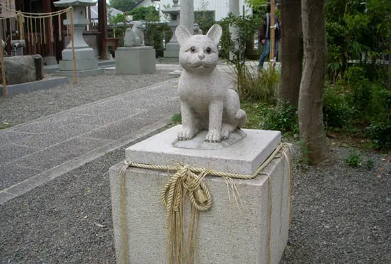 正面からのお姿