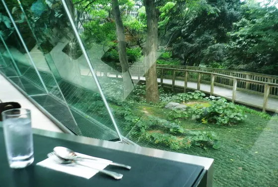 森を眺めながら休憩…！