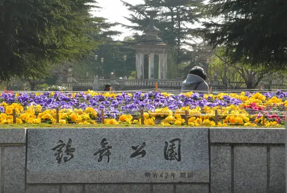 公園正面の花畑