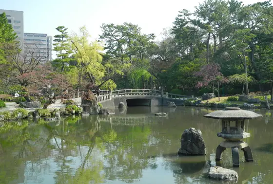 胡蝶が池