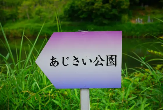安富あじさい公園