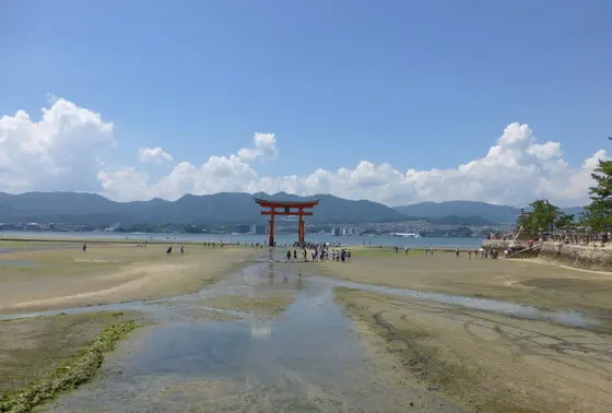 水にたたずむ鳥居ではなくなりました！