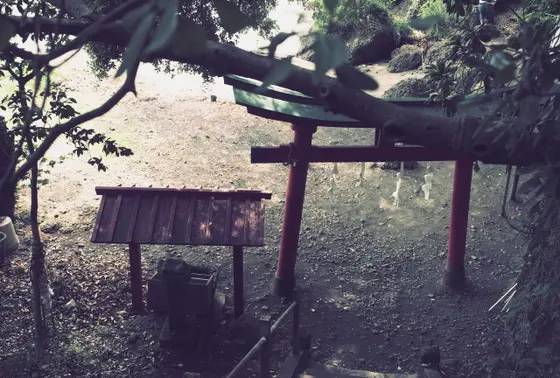 階段が急なので御注意を！