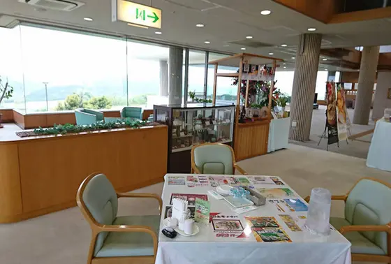 ランチ