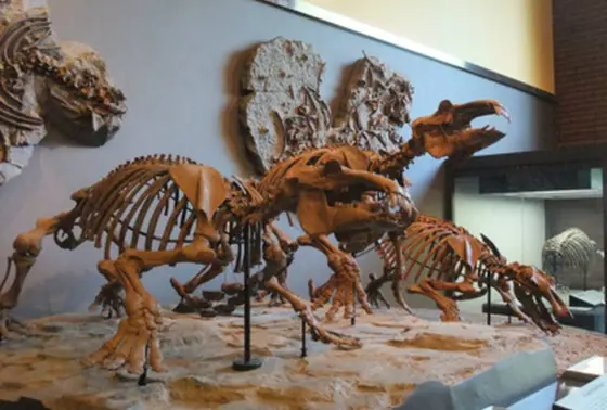 古代海獣パレオパラドキシア