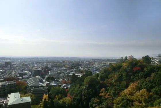 大阪平野を一望
