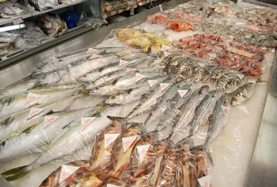 珍しいお魚がたくさーん