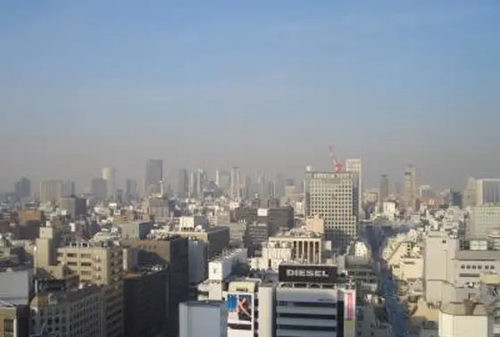 屋上庭園