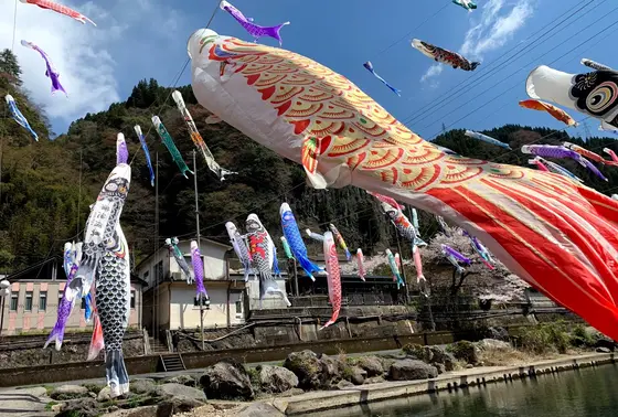 鯉のぼり(4月〜5月上旬)