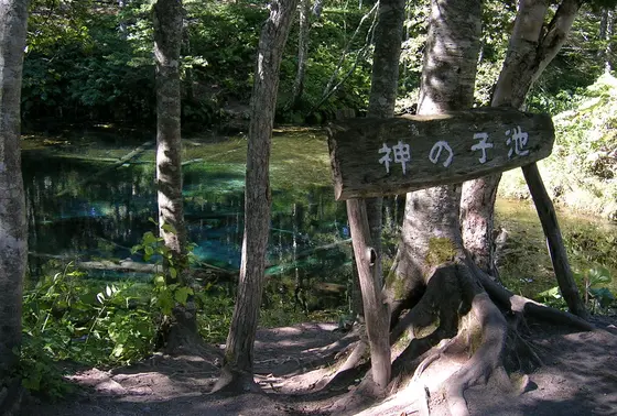実際は小さな池ですが