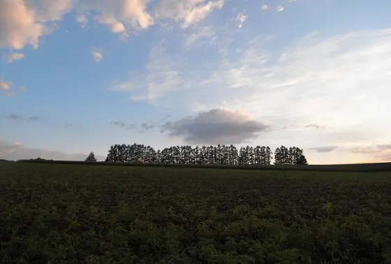 北海道を実感する風景