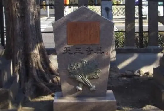 天王寺蕪