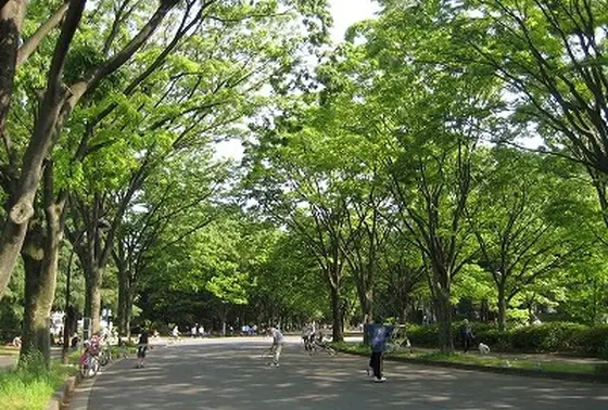 ちなみに