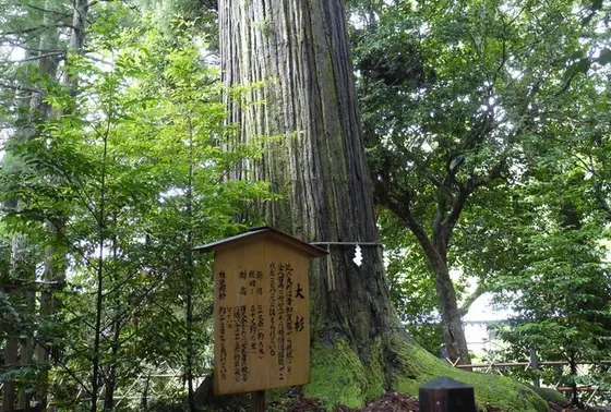 燐とした大杉さん