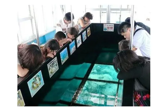 グラスボートで海に入らなくてもいろんな魚に出会えます！