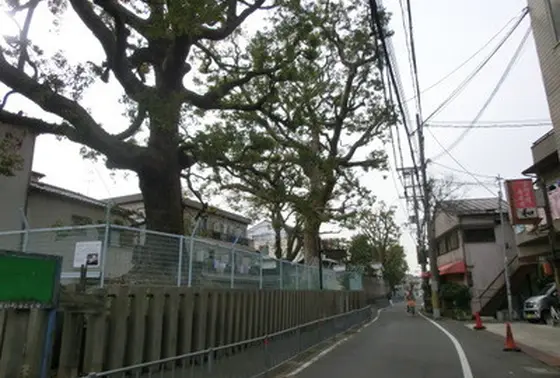 茨田堤