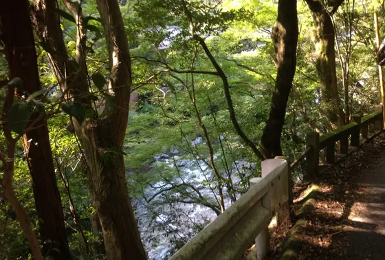 清滝川