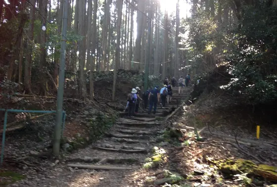 「おくだりやす」「おのぼりやす」の合言葉